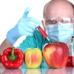 GMO – Kto potrzebuje? Niewygodne fakty
