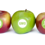 6 marek spożywczych naszpikowanych GMO – wiedziałeś o tym?